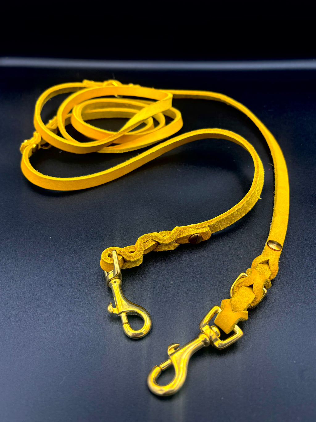 Verstellbare Leder-Hundeleine – 2,5 Meter Gelb