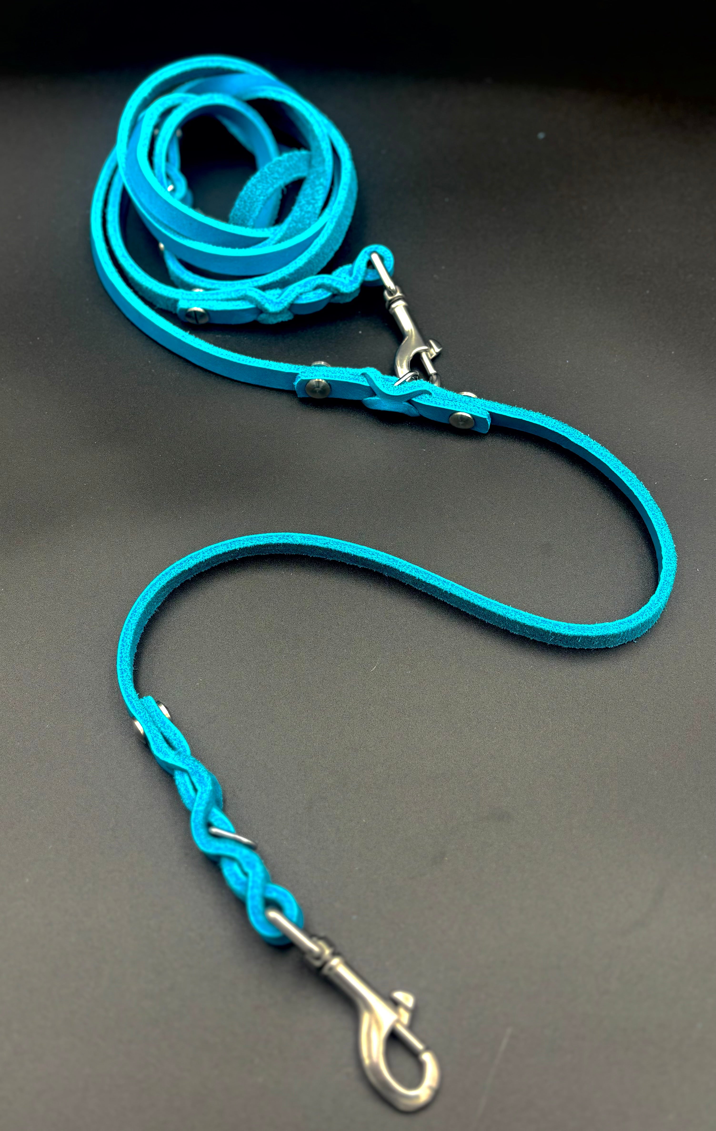 Verstellbare Leder-Hundeleine – 2 Meter