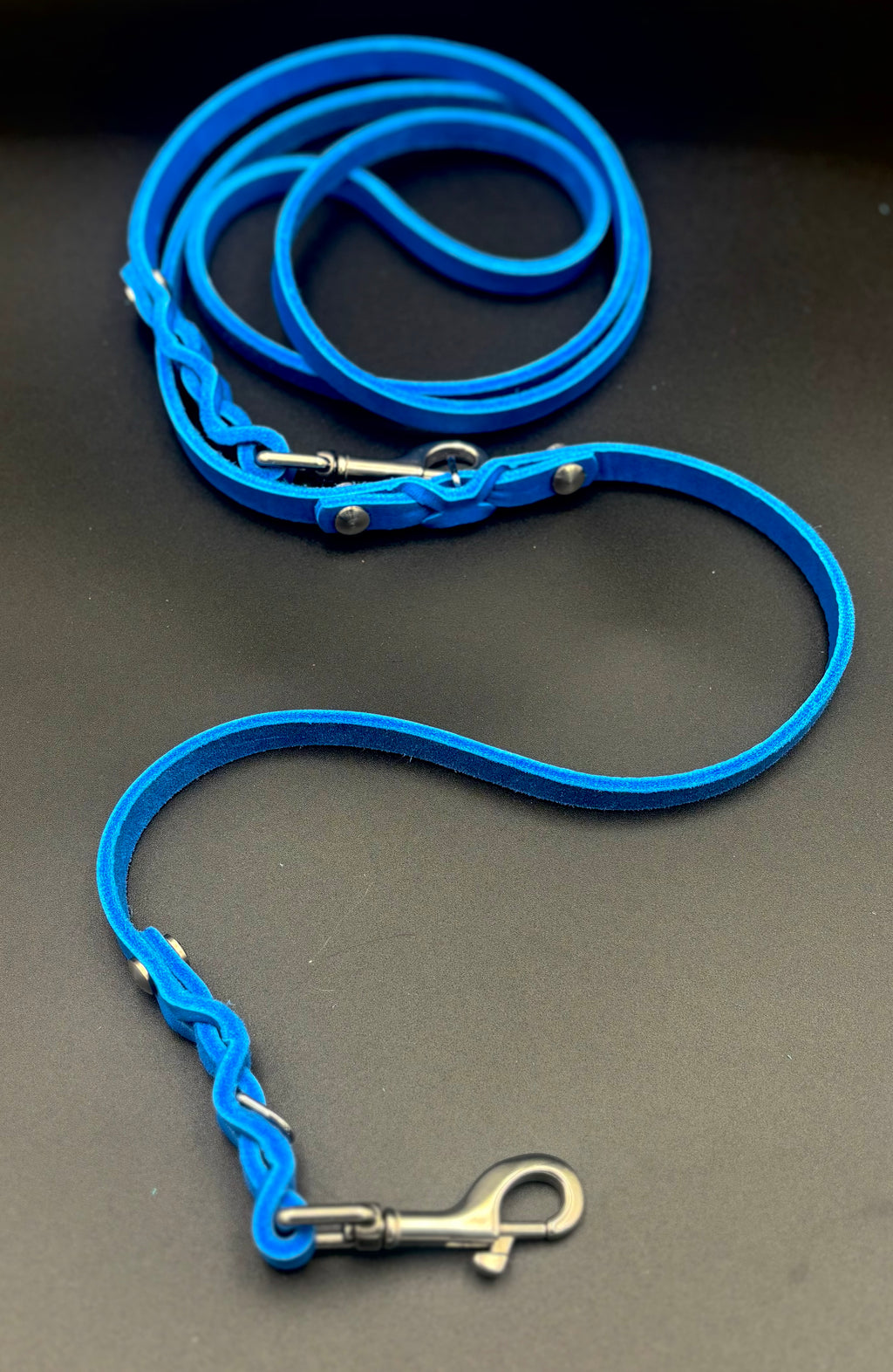 Verstellbare Leder-Hundeleine – 2 Meter