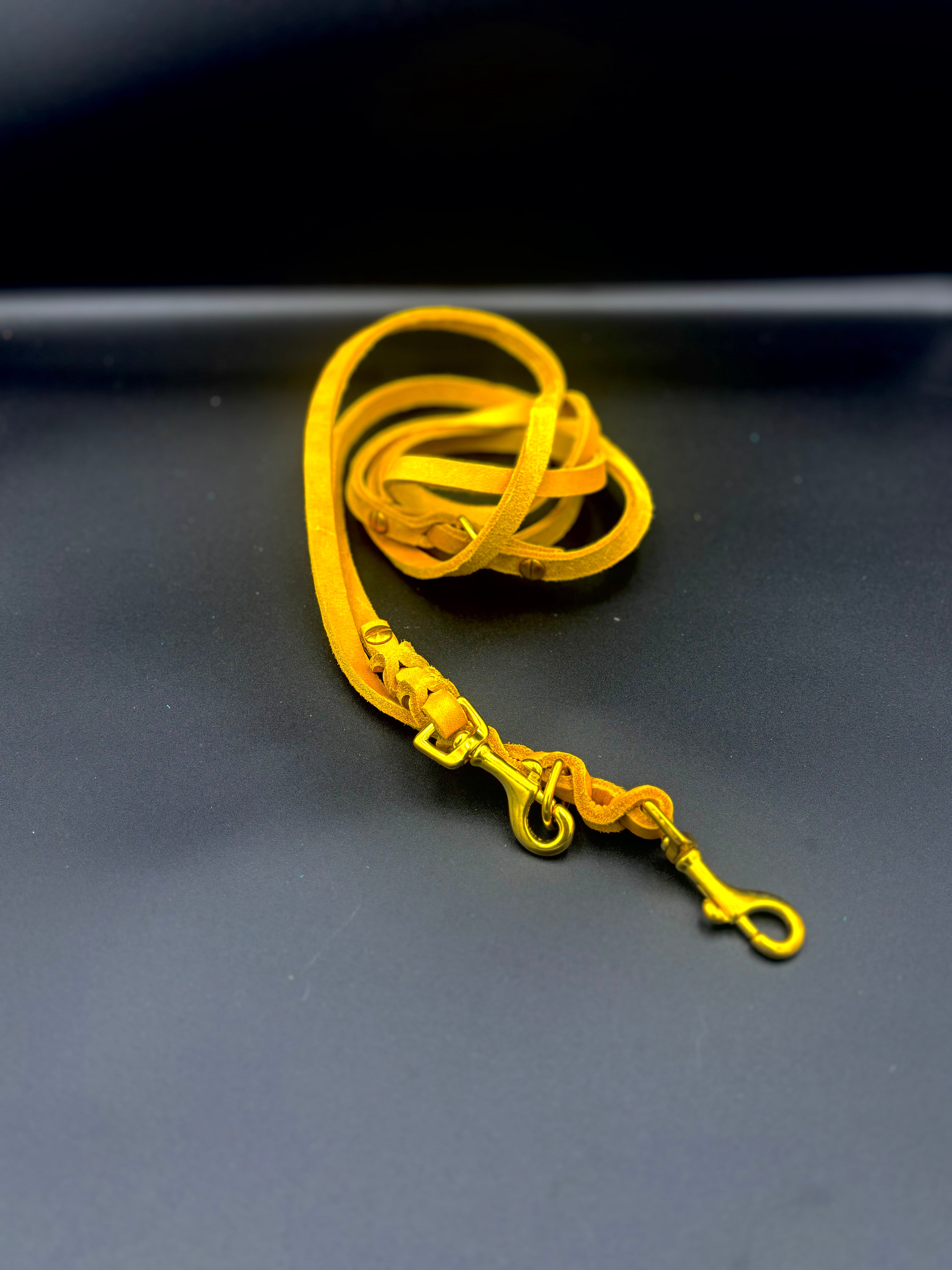 Verstellbare Leder-Hundeleine – 2 Meter