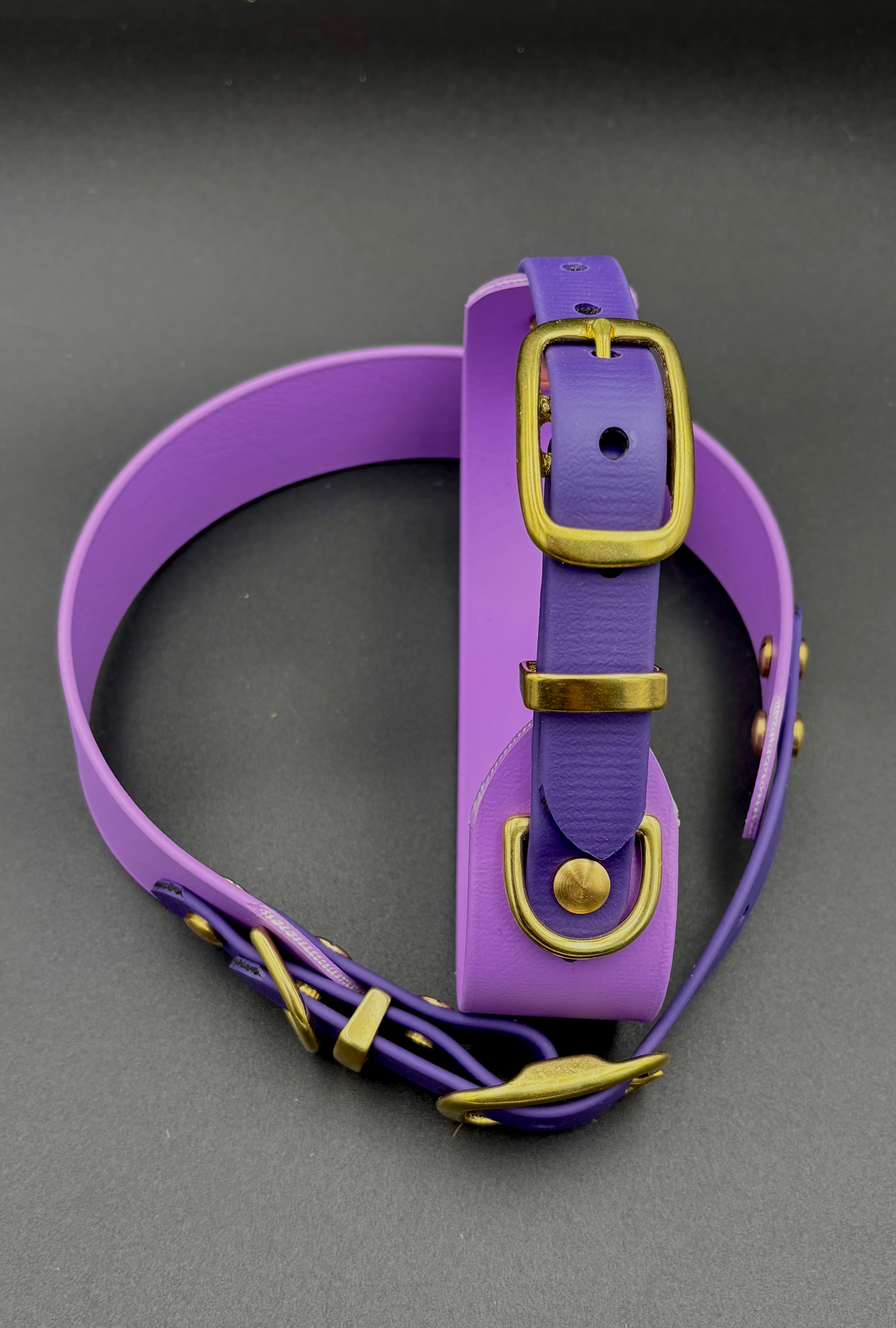 Biothane Hundehalsband 2 Farbig