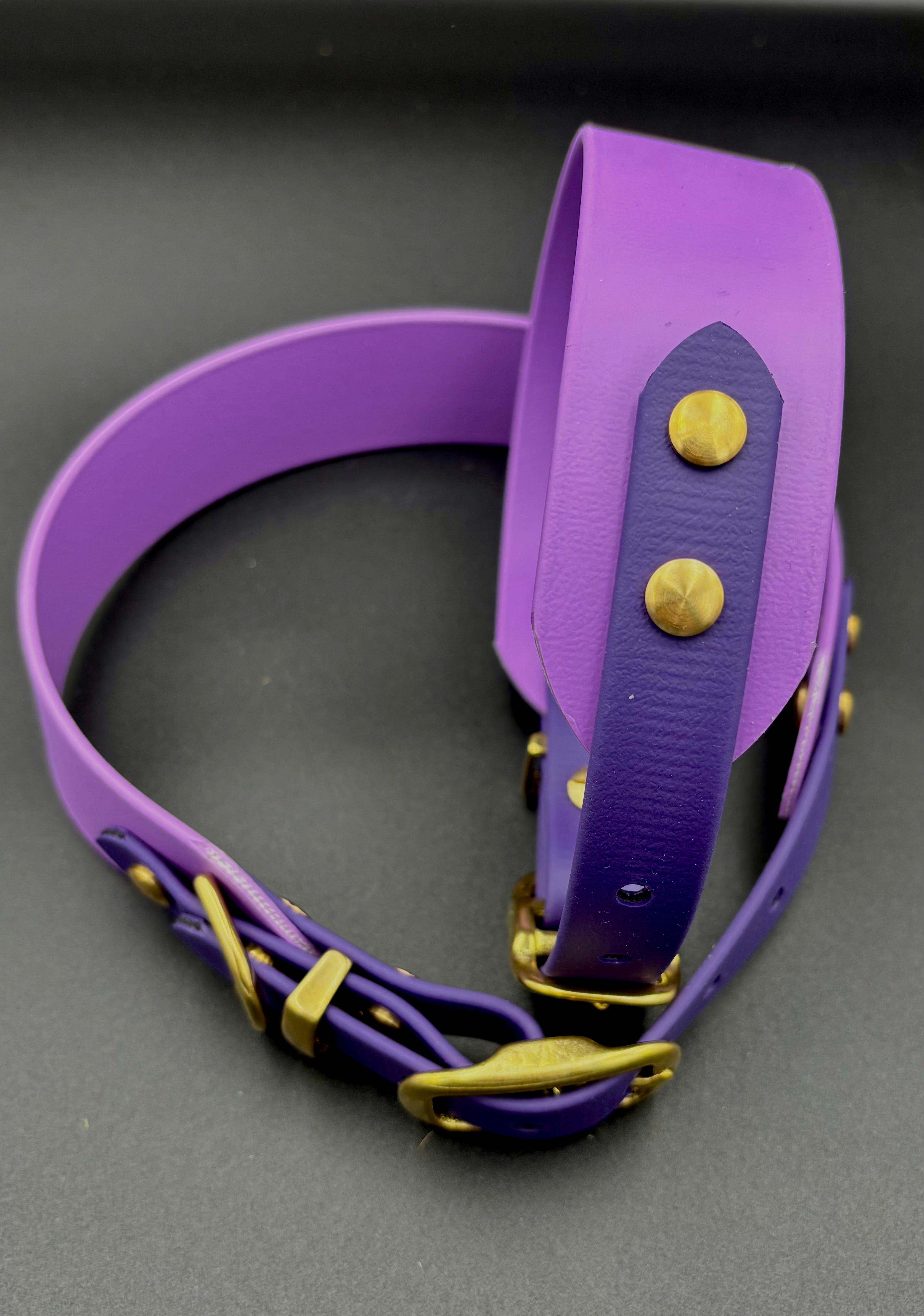 Biothane Hundehalsband 2 Farbig