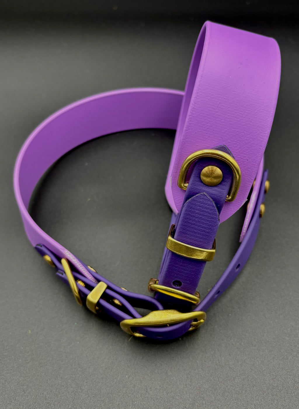 Biothane Hundehalsband 2 Farbig