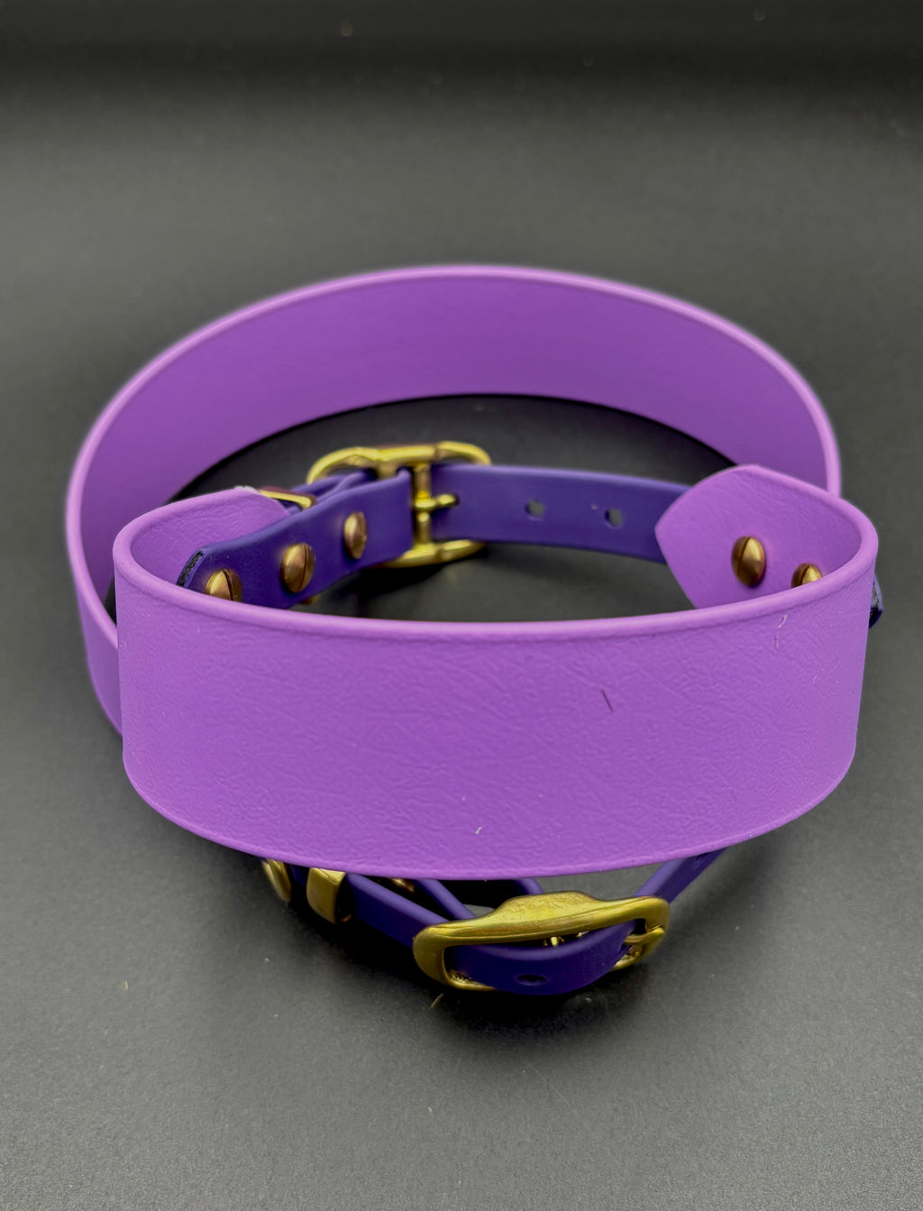 Biothane Hundehalsband 2 Farbig